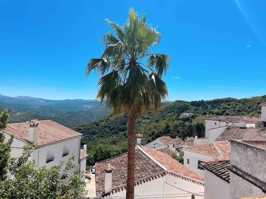 La Palmera. Casa Rural Con Piscina Privada. Benadalid Екстер'єр фото